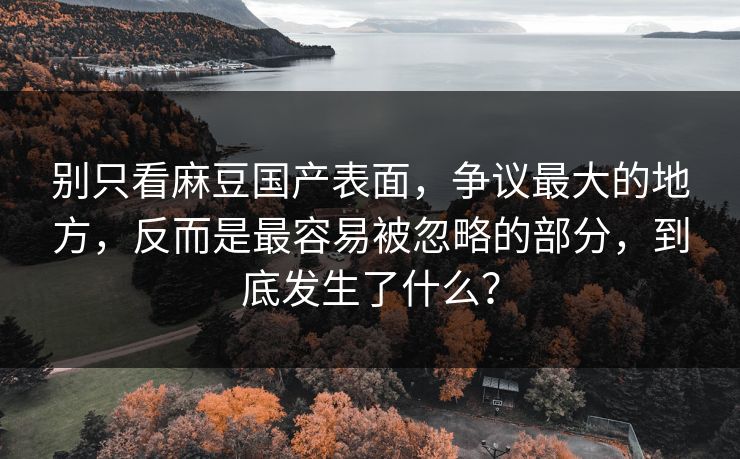 别只看麻豆国产表面，争议最大的地方，反而是最容易被忽略的部分，到底发生了什么？