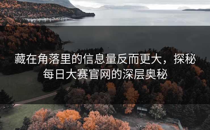 藏在角落里的信息量反而更大，探秘每日大赛官网的深层奥秘